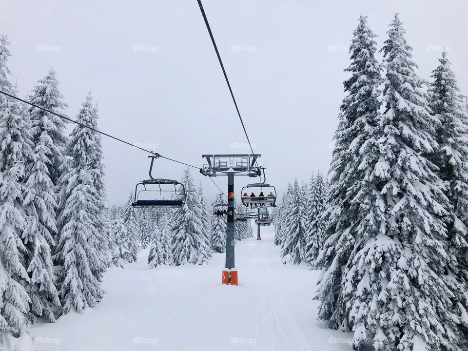 Skiing in winter