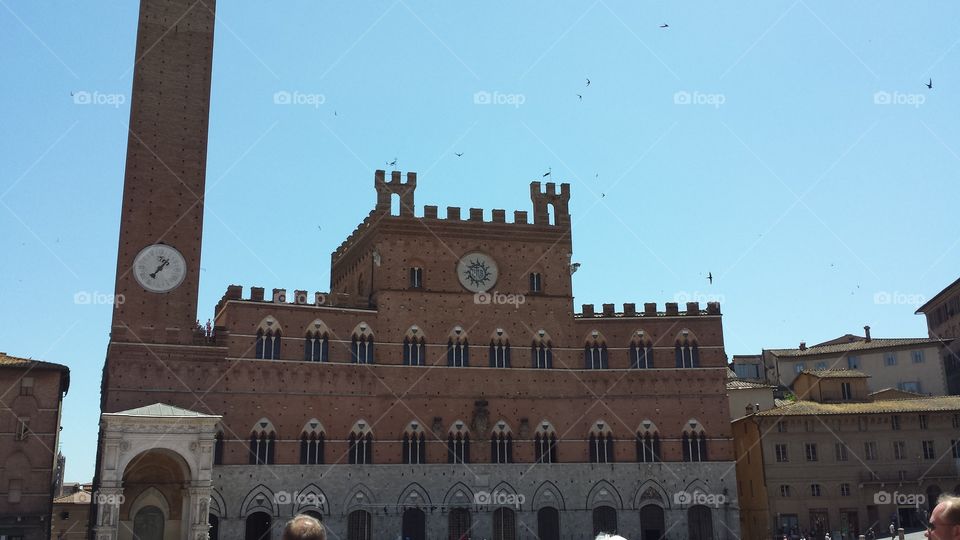 Daytime in Siena