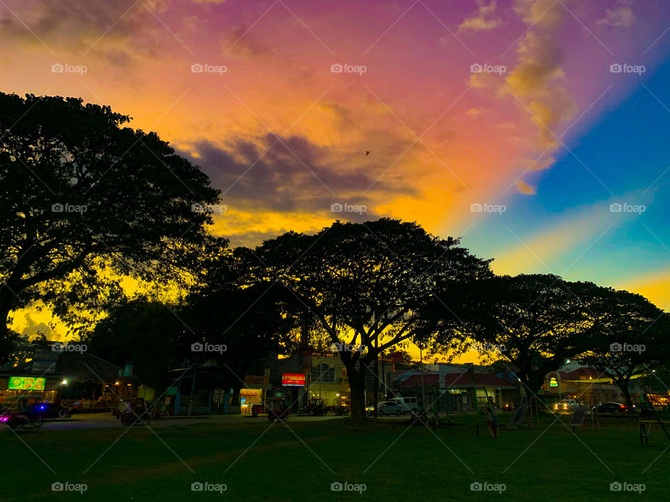 Beautiful view at the park