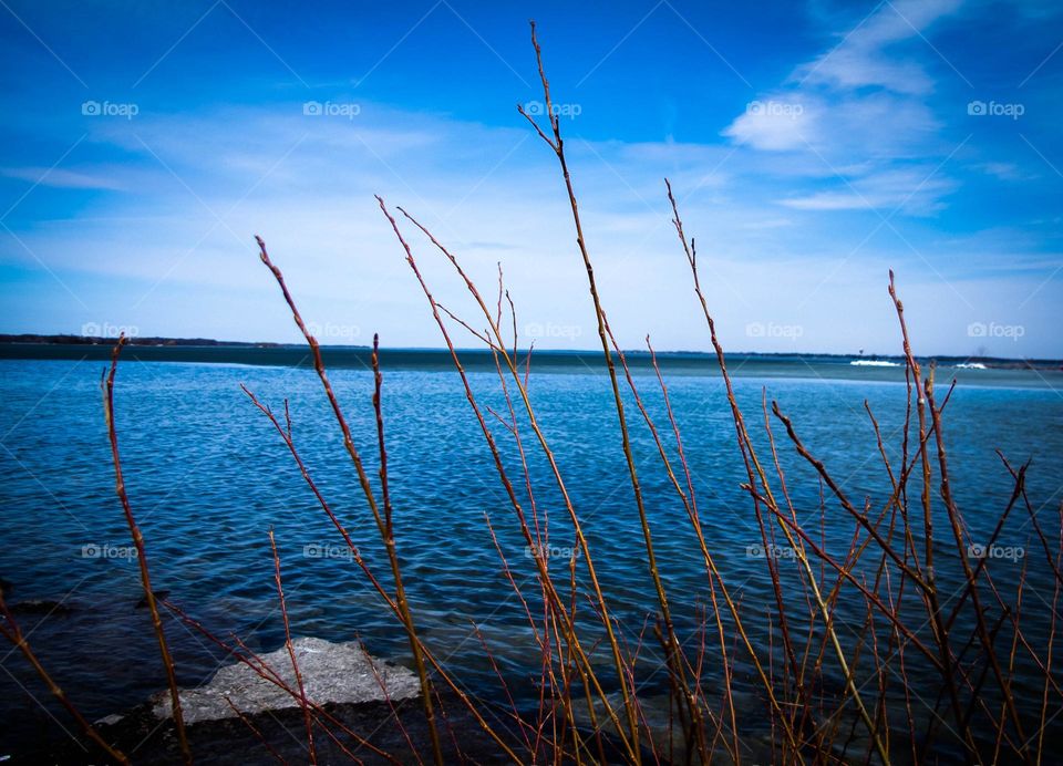 mountain view location