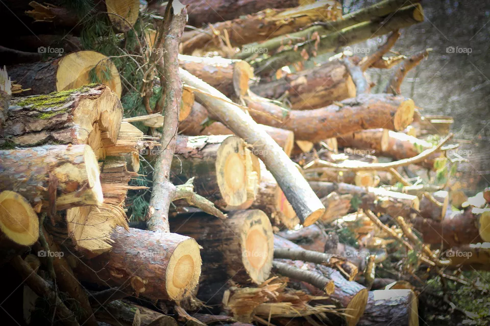 Klimawandel