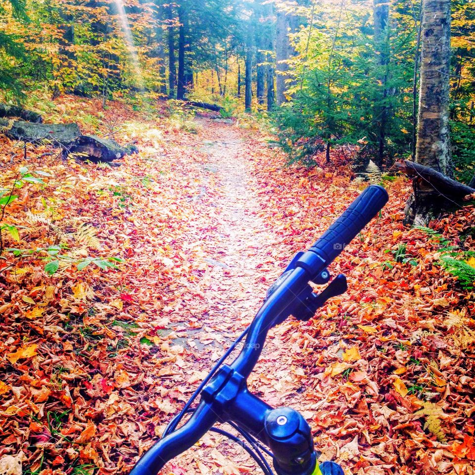 There is nothing like mountain biking in the fall