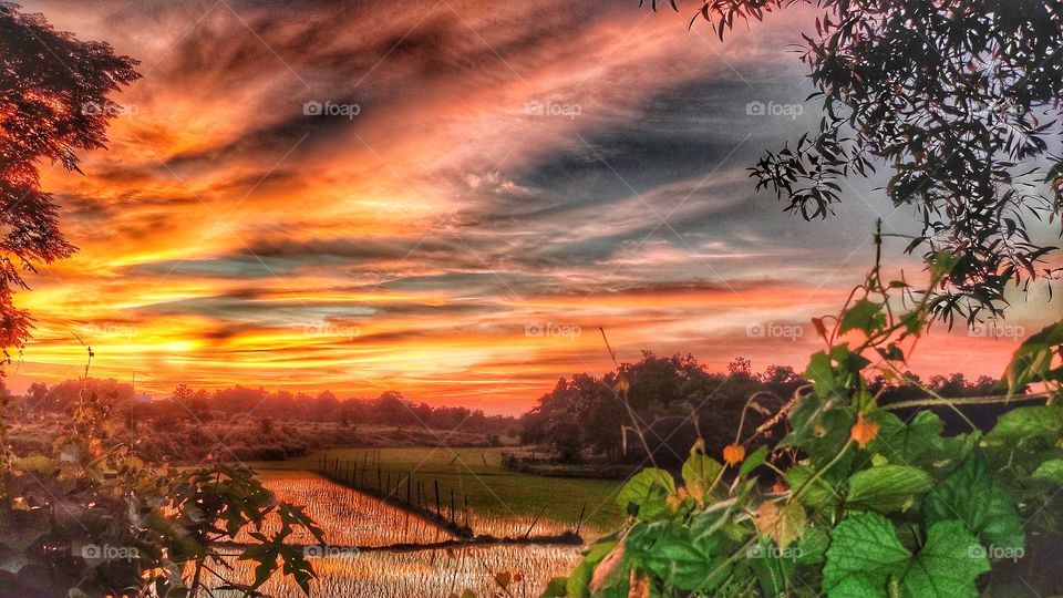 Beauty of our country.
Like wonder full.
Amazing.