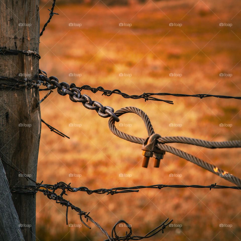 Simply post and wire