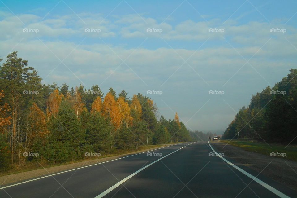 autumn landscape and road