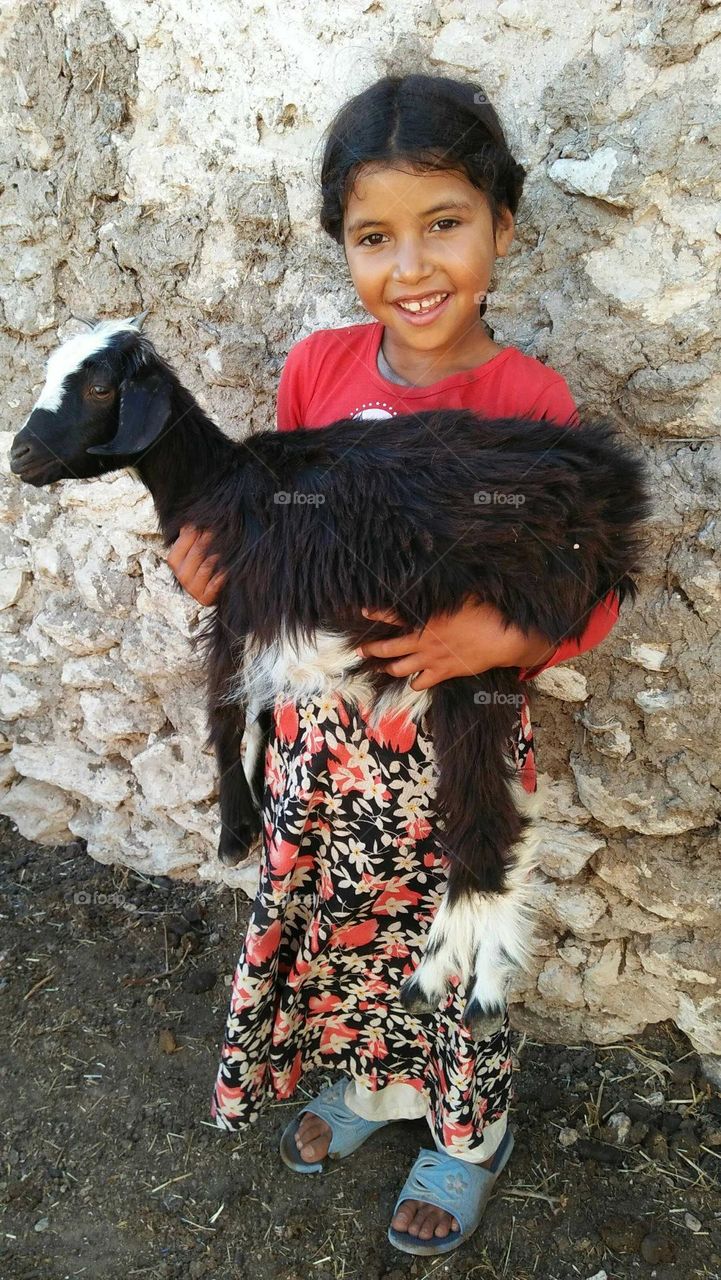 a young and happy girl hoding a small lamb goat.