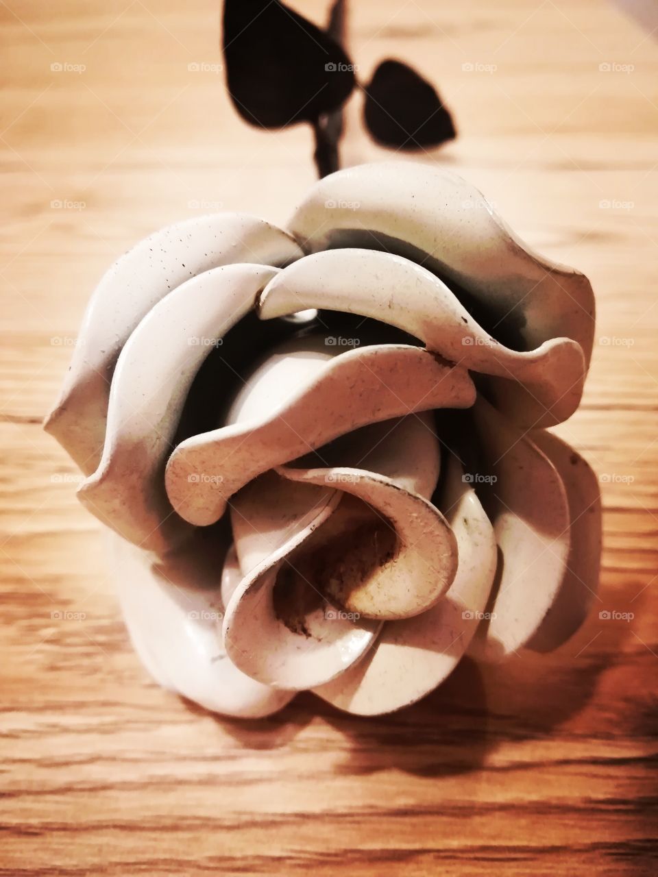 Iron Rose