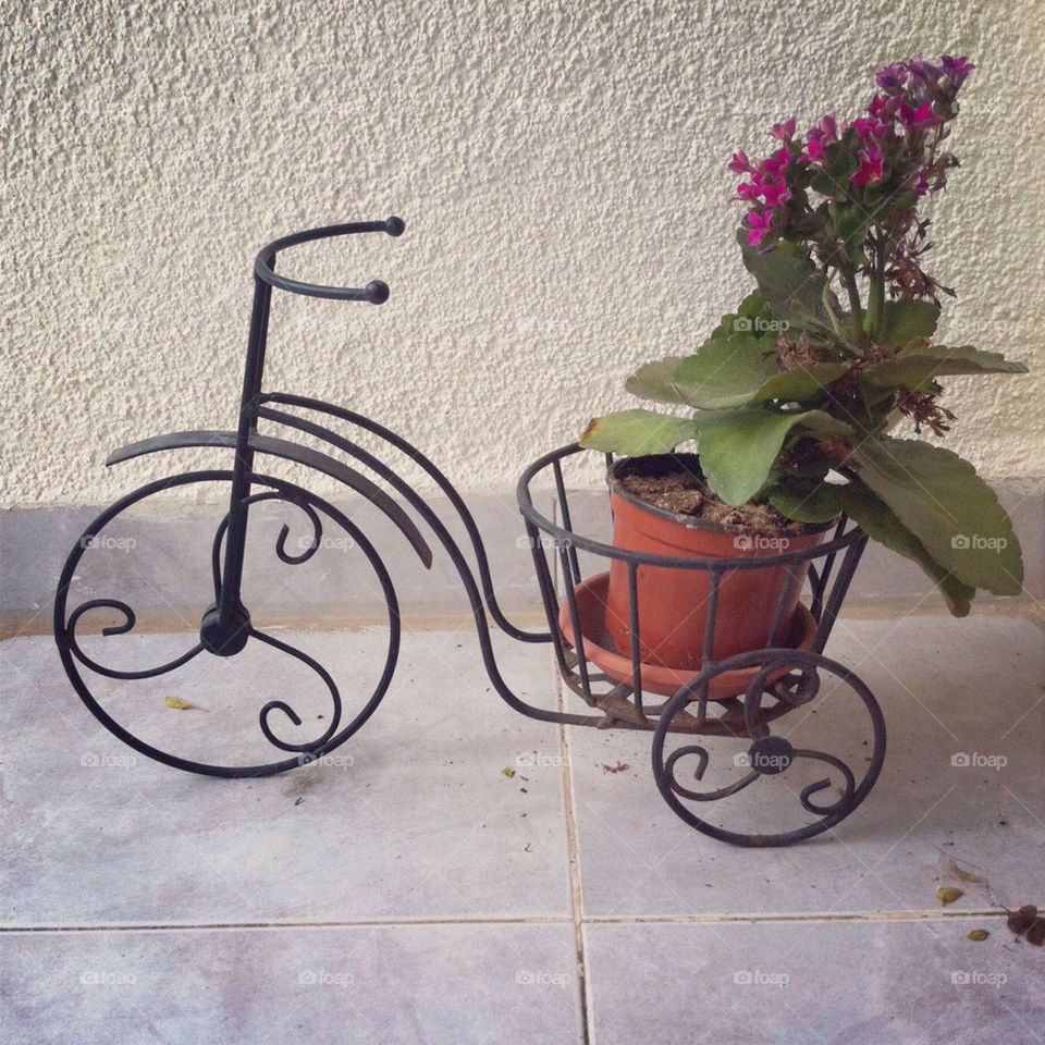 bicycle flowers garden plant by barkai