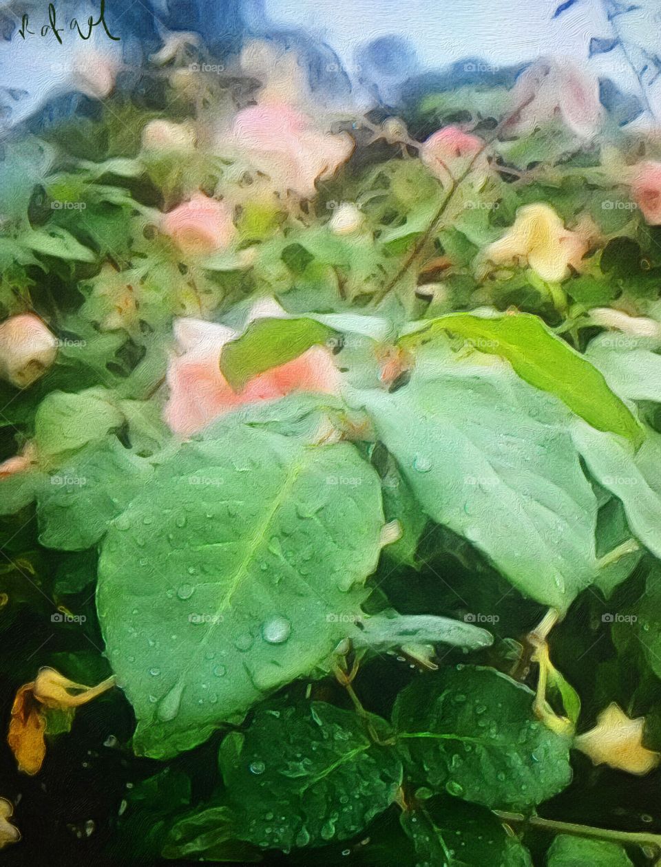 A #chuva veio, fez o seu auê, refrescou o domingo e ainda embelezou as #plantas.
📸
#FotografiaÉnossoHobby
#fotografia #flores #natureza