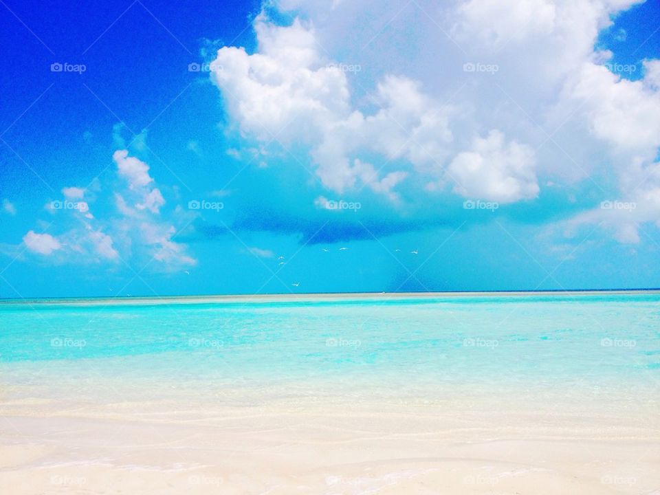 Sand Bank in Eleuthera