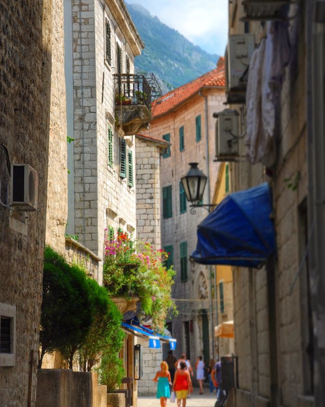 Kotor 