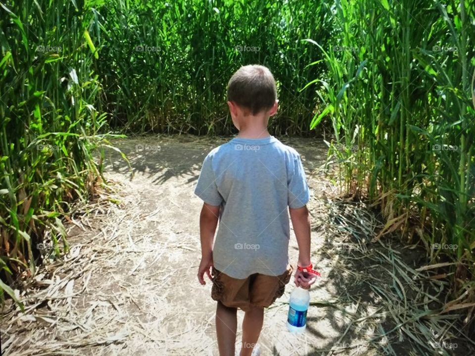 Walk in a corn maze 