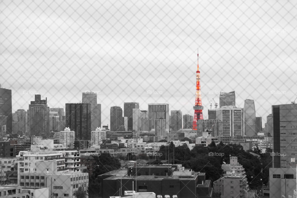 Tokyoo tower and skyscraper in the nice scene