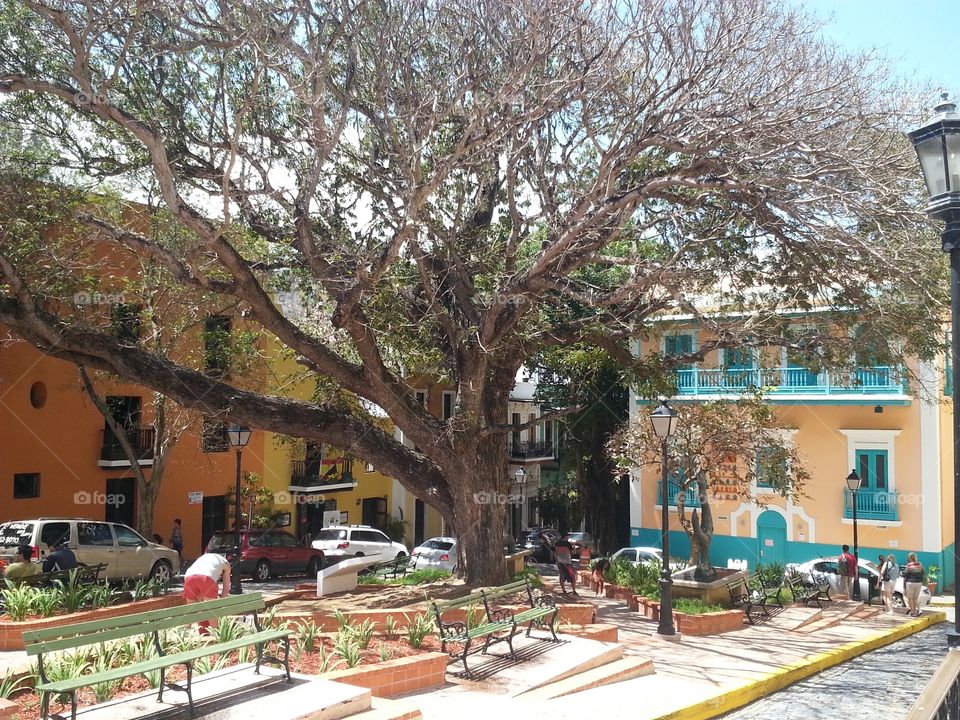 Old San Juan, Puerto Rico- plaza resting spot