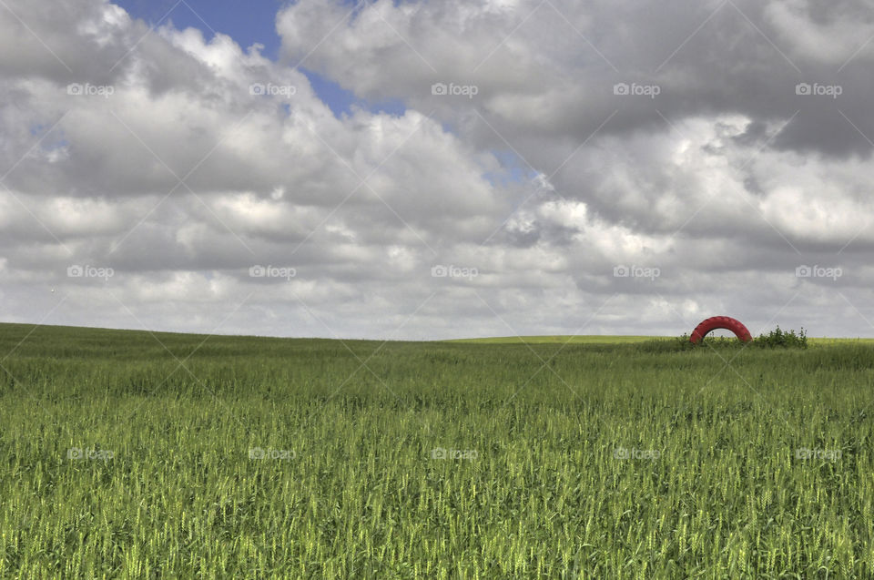 Red Wheel