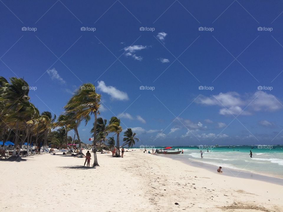 A windy resort scene in Tulum, Mexico, with palm trees swaying in the breeze and the gorgeous azure waters in the background.