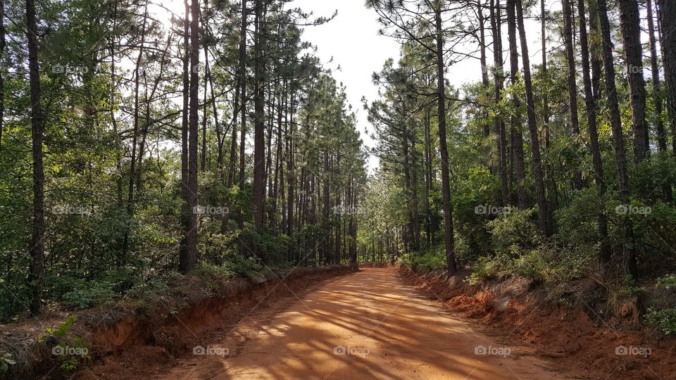 Red clay one lane road