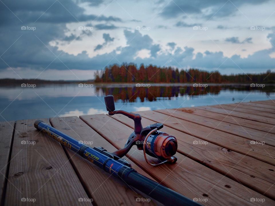 Fishing is over. . I was fishing in Finland on a lake when I saw those trees turning golden. I put down my rod and took this shot. 