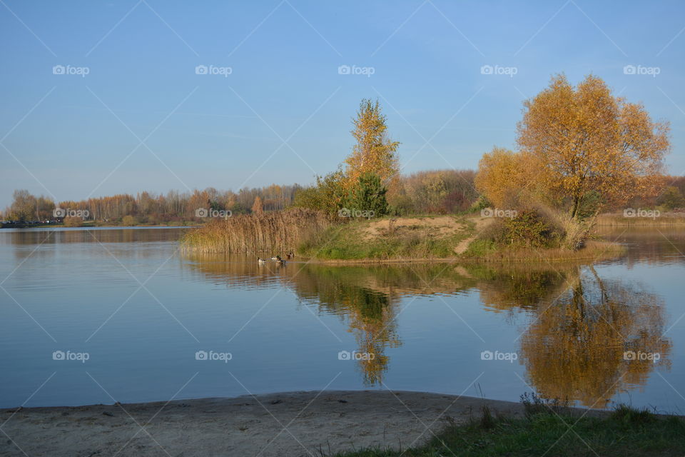 lake beautiful nature landscape and birds  autumn time blue sky background