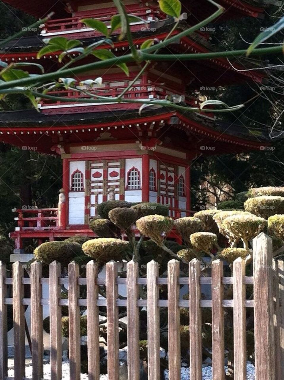 Japanese pagoda