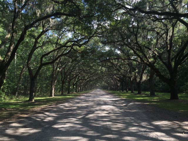 Savannah, GA