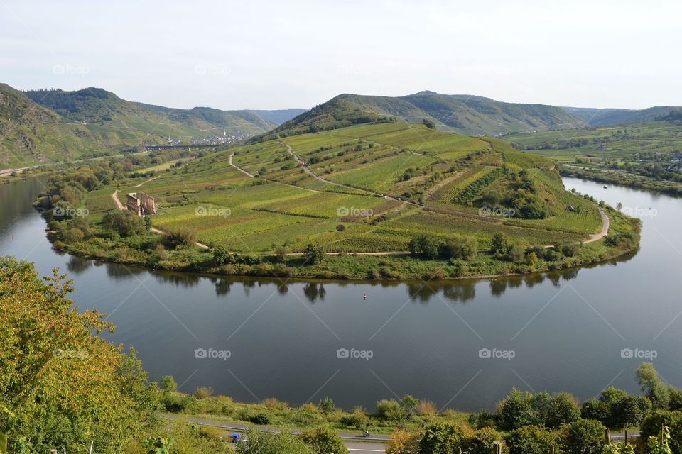 View of the Mosel 