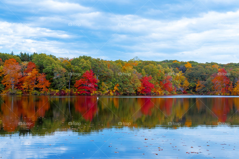 Reflections of autumn trees in lake