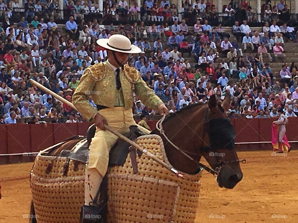Seville, Spain “Bull Agitator”