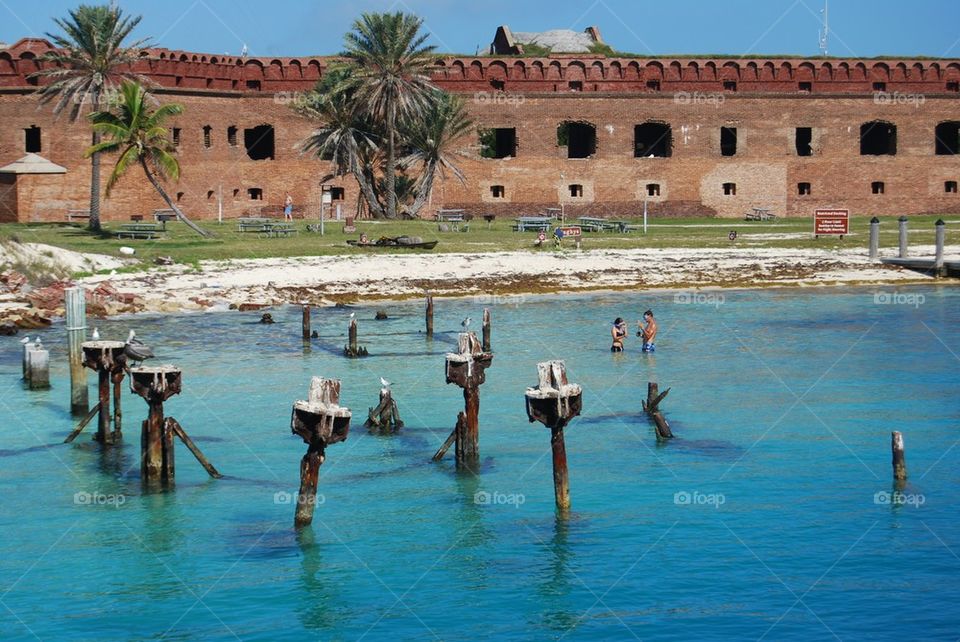 Building dock trees