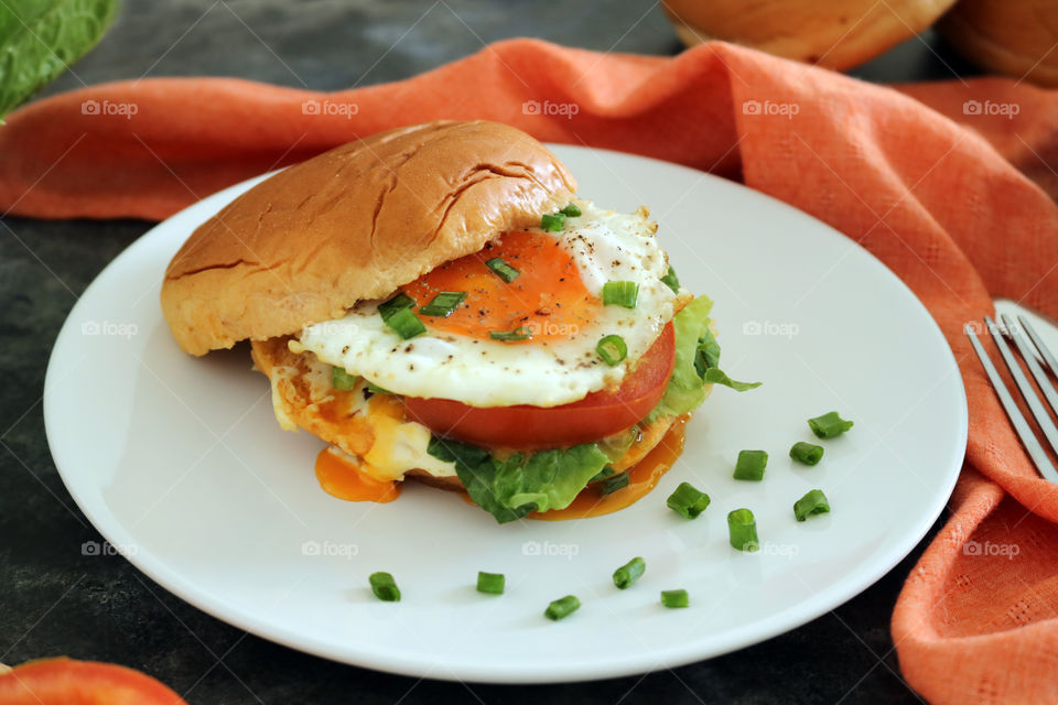 Egg Sandwich