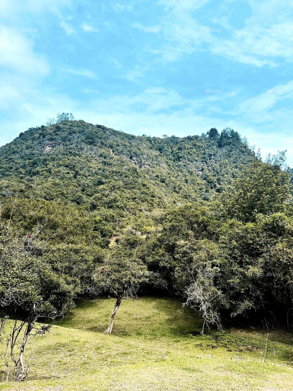 Montañas gigantes 