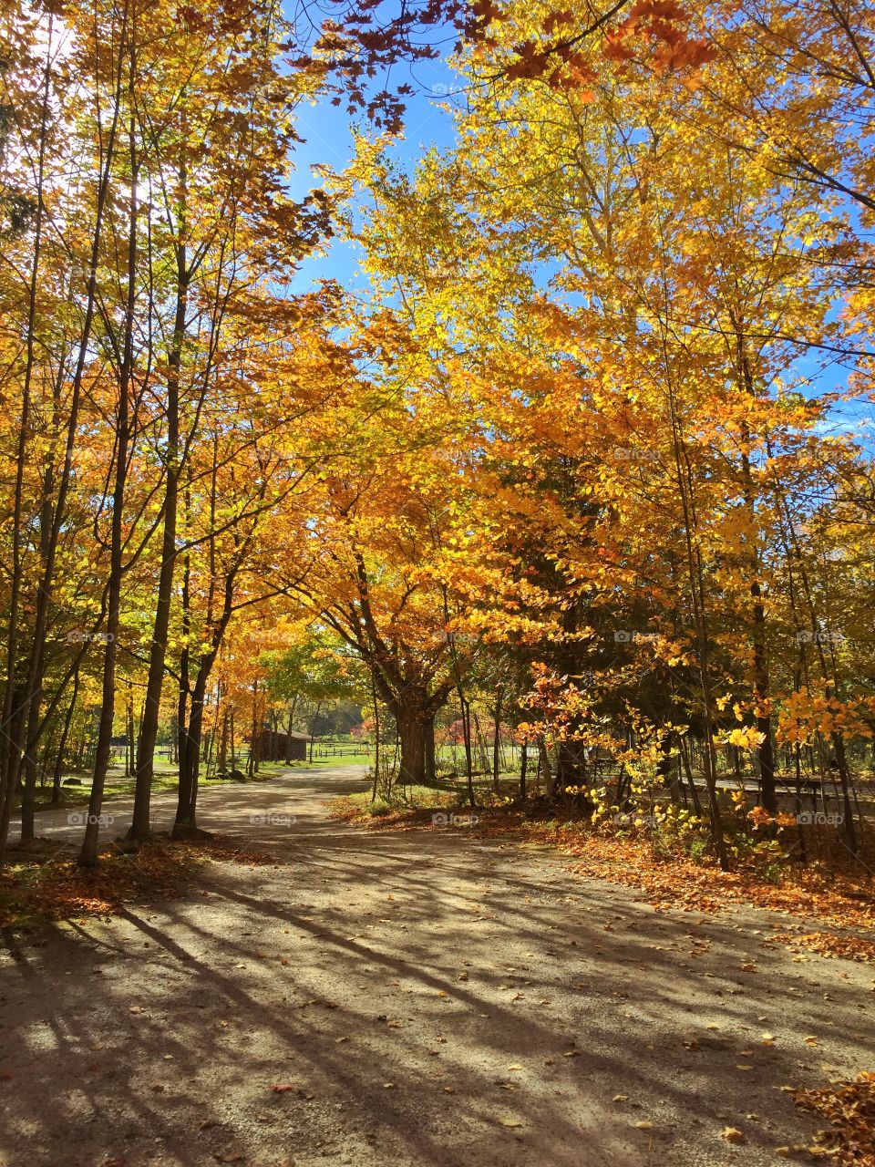 Pretty fall colors . Pretty Autumn day 