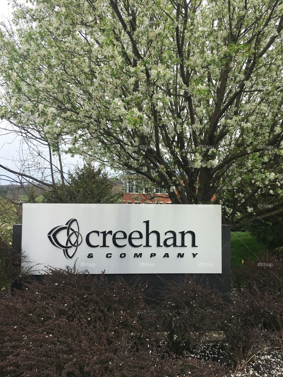 Creehan & company, south pointe, PA
