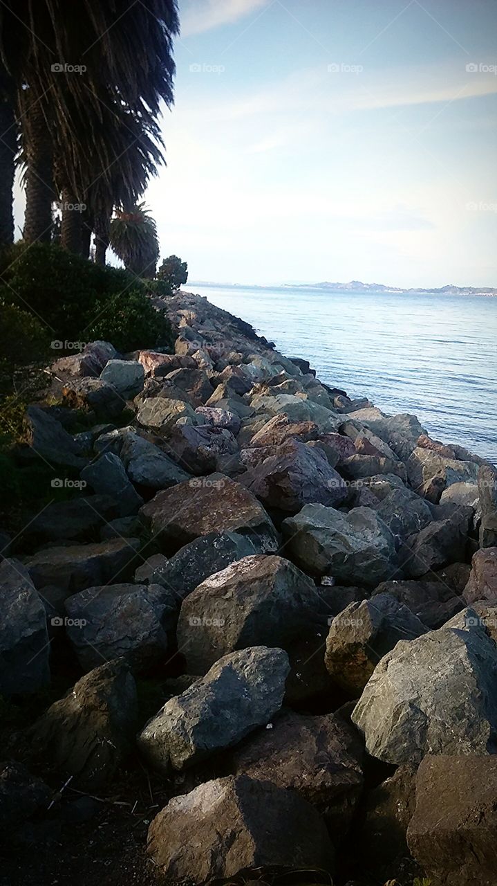 rocky shore