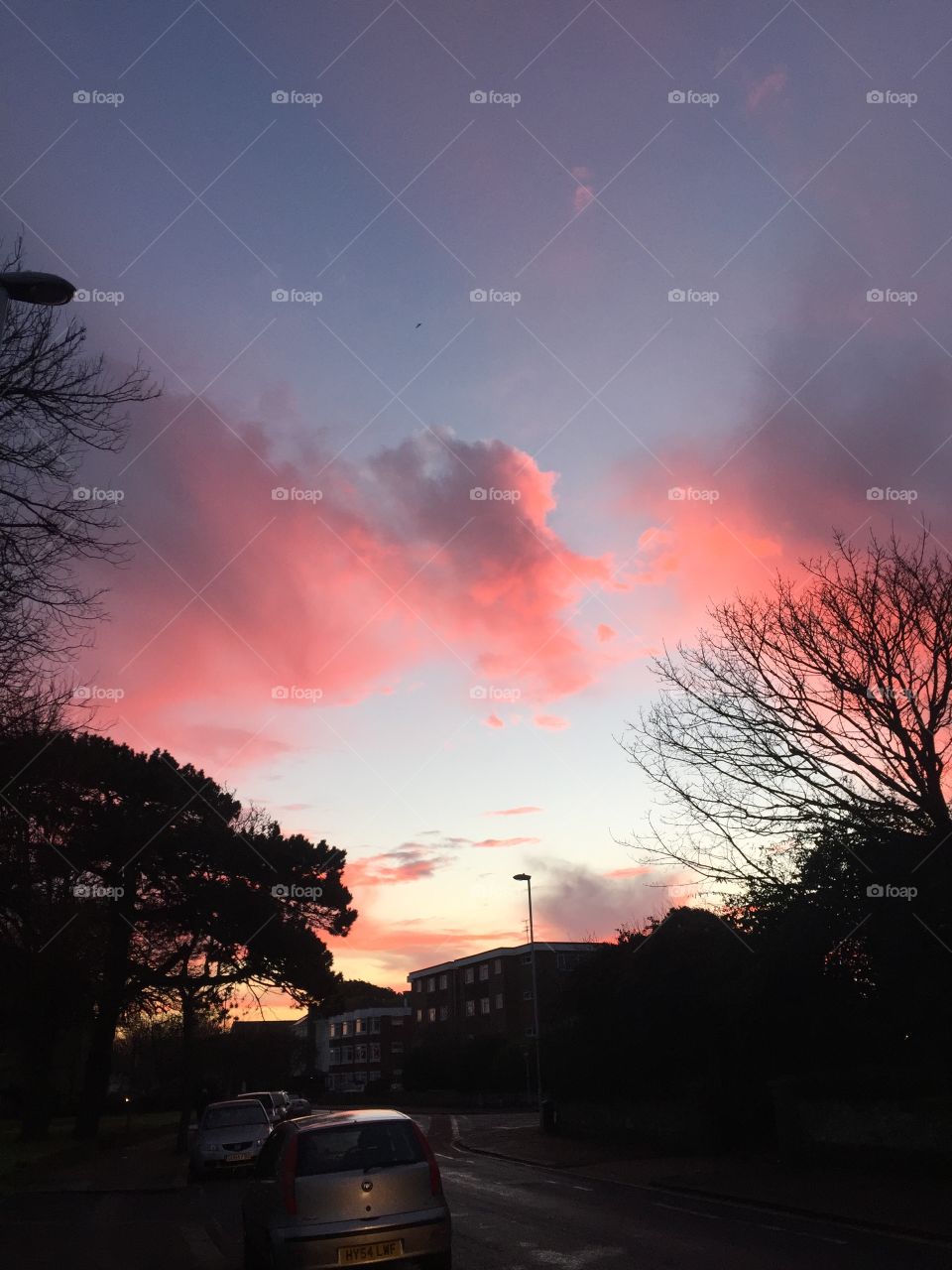 Pink sky 
