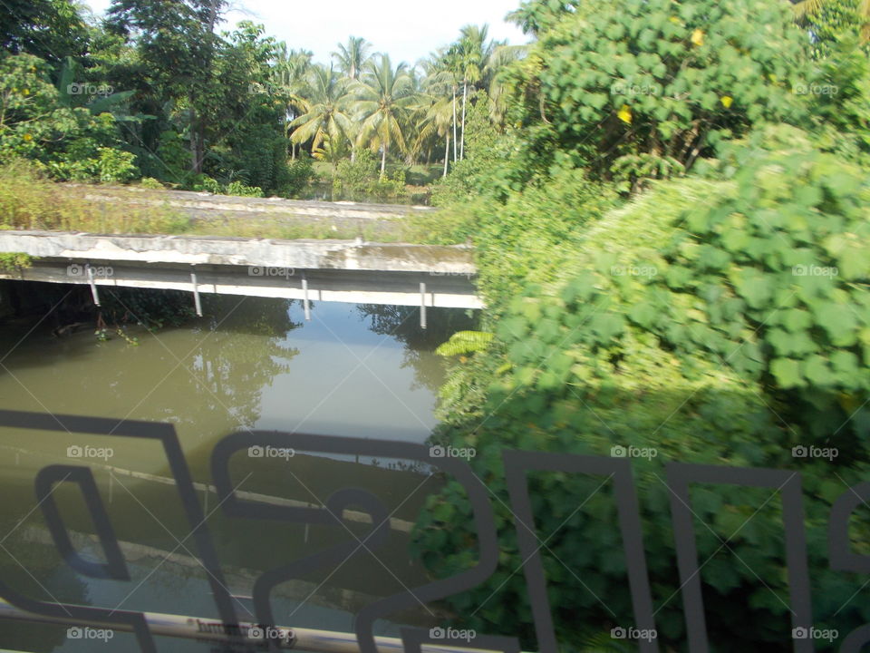 Bridge Pesisir Barat Lampung Indonesia