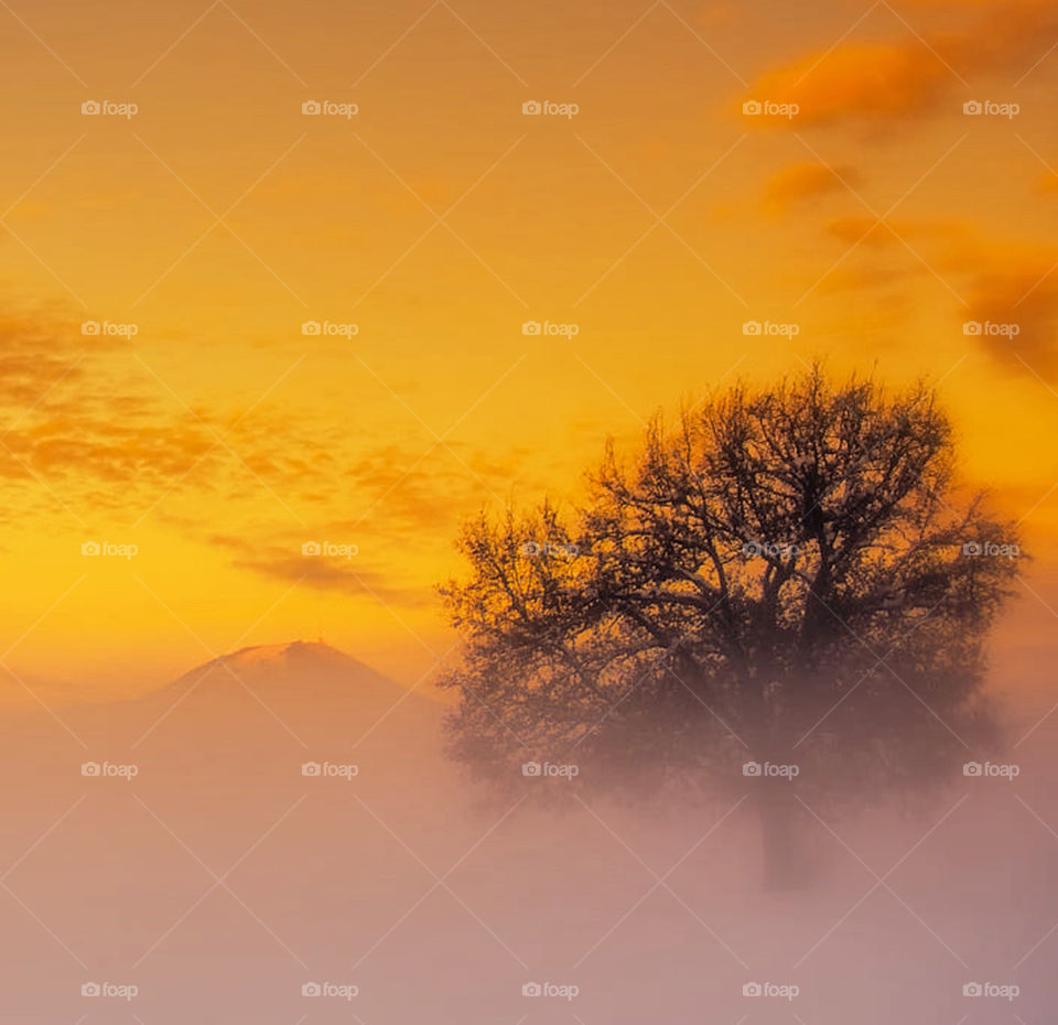 Travel around the world