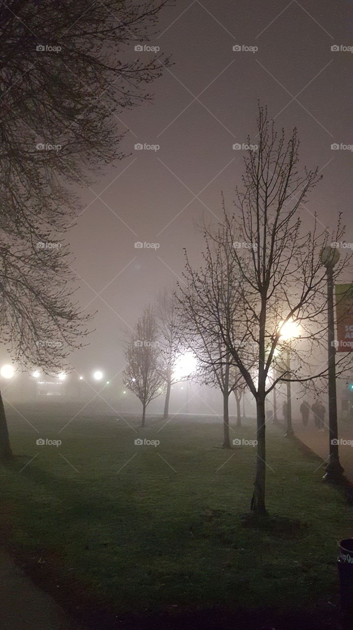 Foggy spring night. Queens college campus 