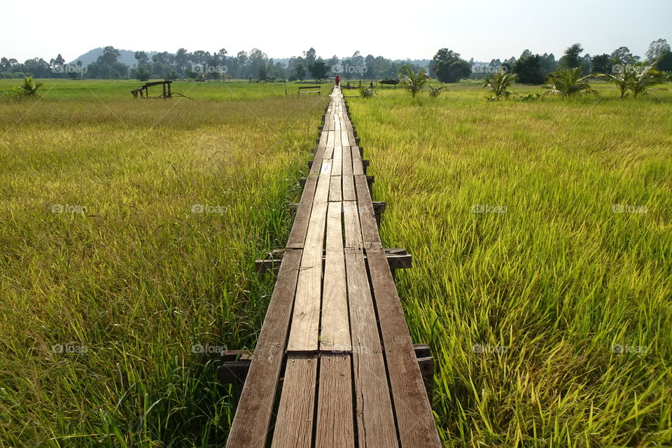 This place is called a 100 year old wooden bridge.