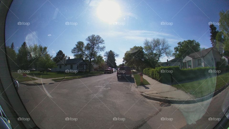 Tree, Road, Landscape, Street, Vehicle