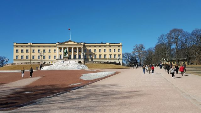 The Norwegian castle. Oslo.