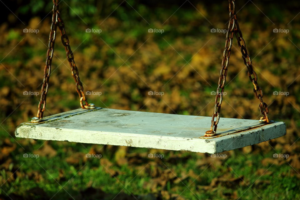 hammock on autumn