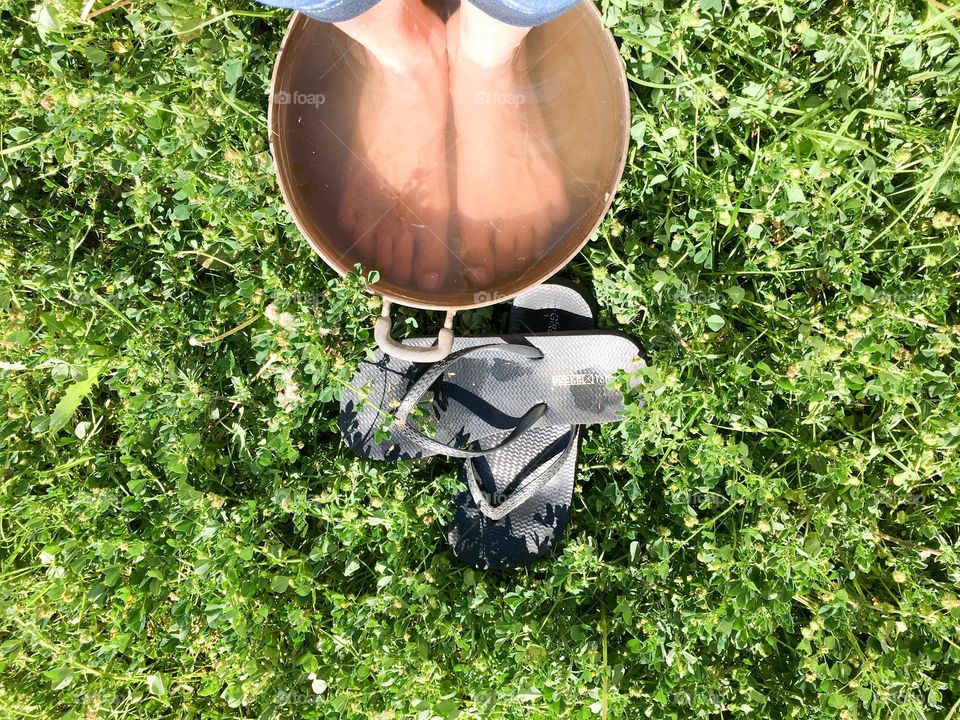 Where I stand in old tin bucket of water on grass clover