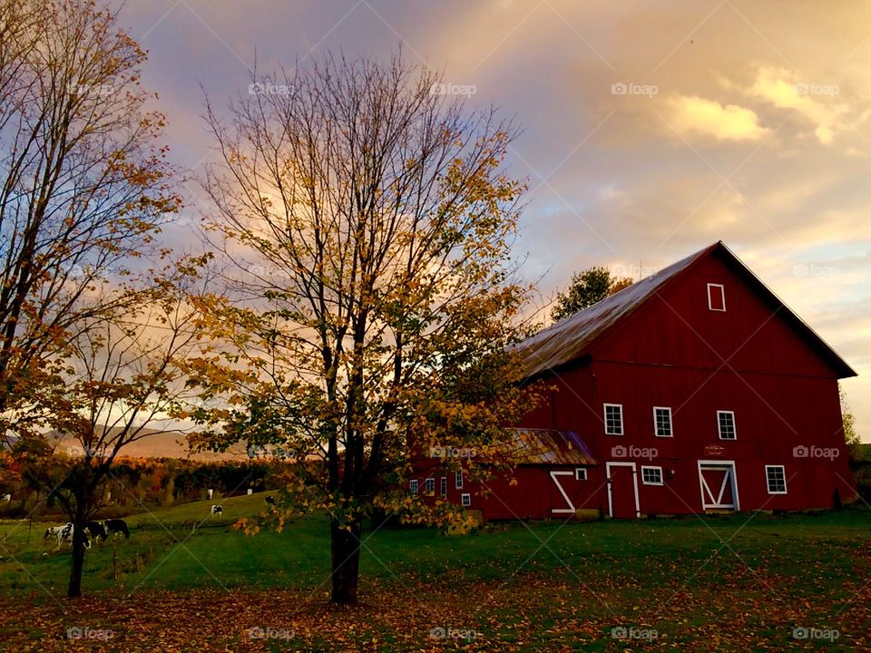 Stowe, VT