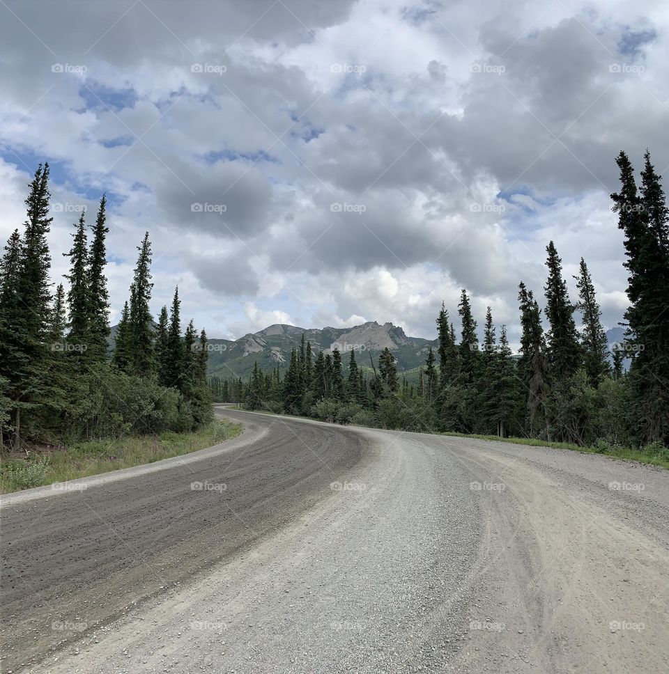 Denali road