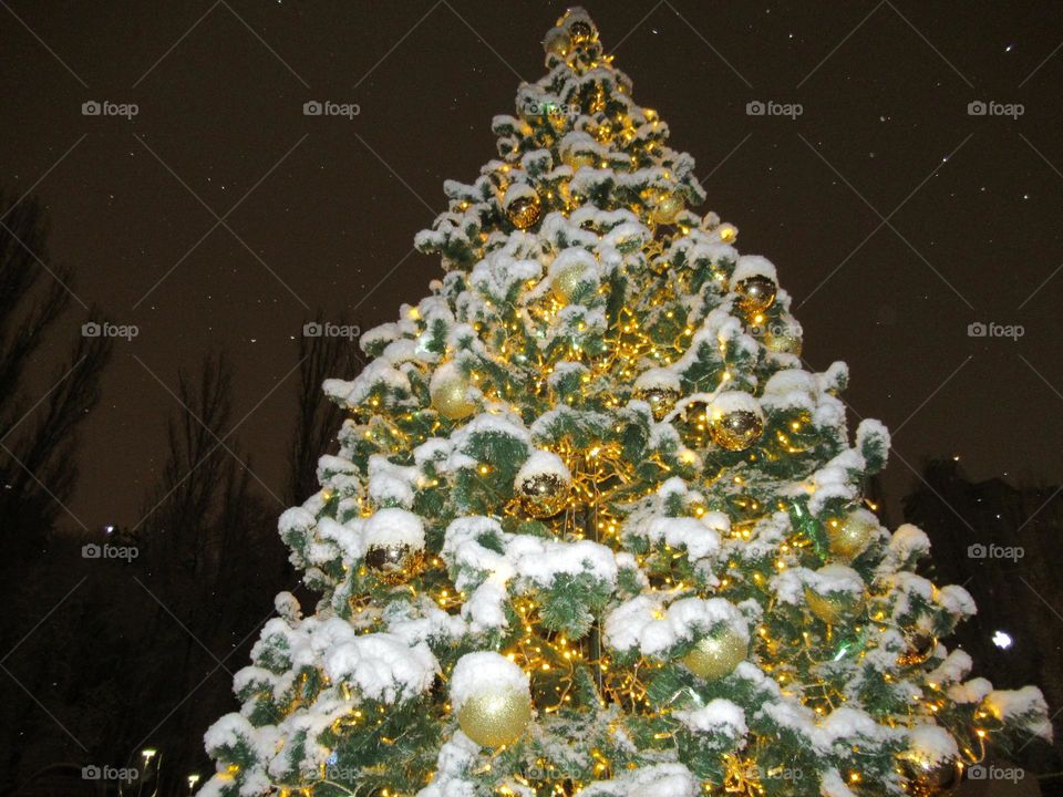 elegant Christmas tree in the park in winter