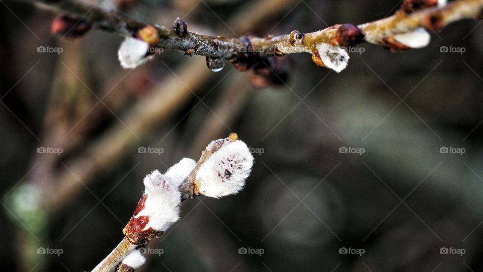 Colores de invierno
 Winter colors