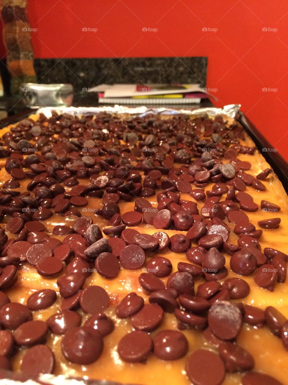 No Person, Food, Sweet, Sugar, Grow