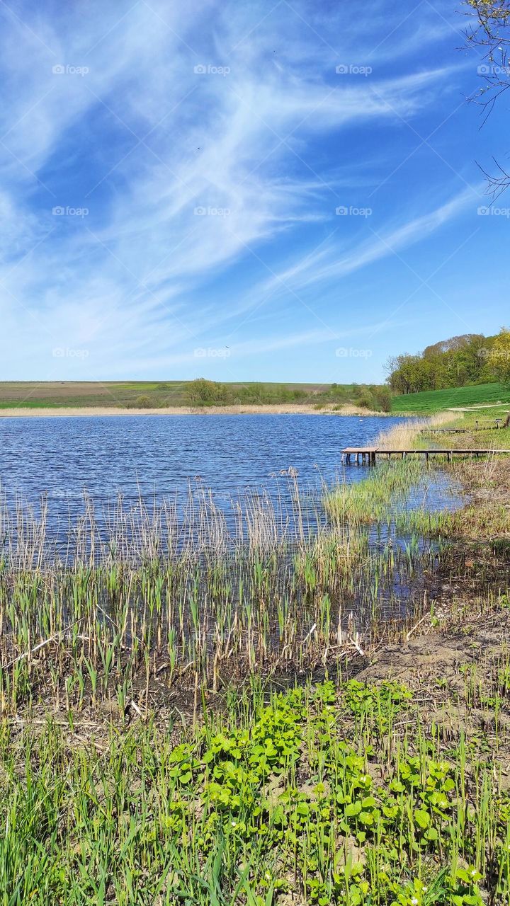 A calm lake on a summer's day