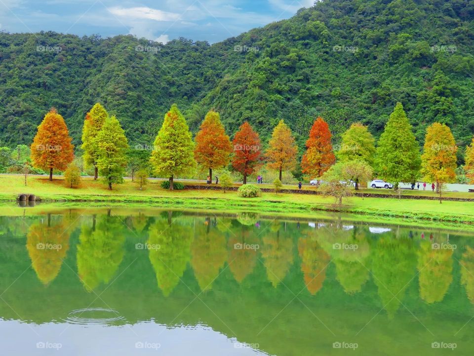 Beautiful mountain and forest scenery